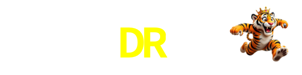 Logo DR9